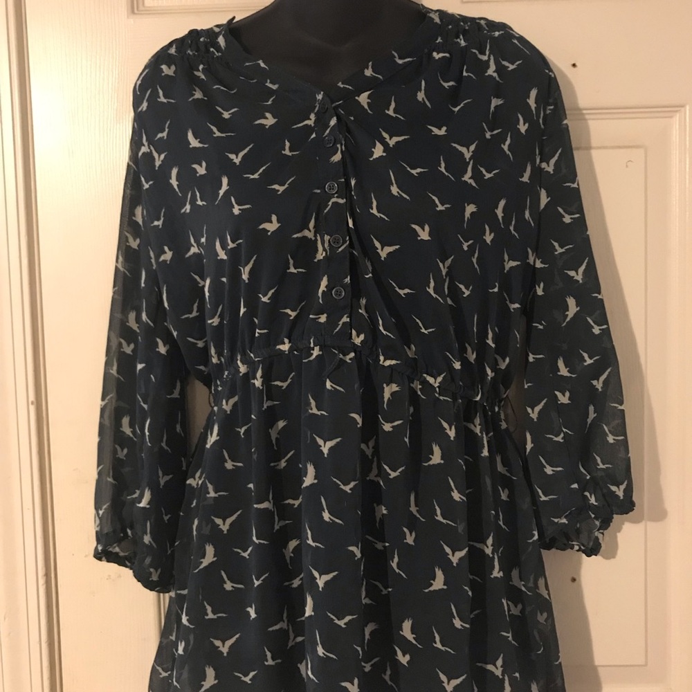 Long sleeve, see through dressy shirt